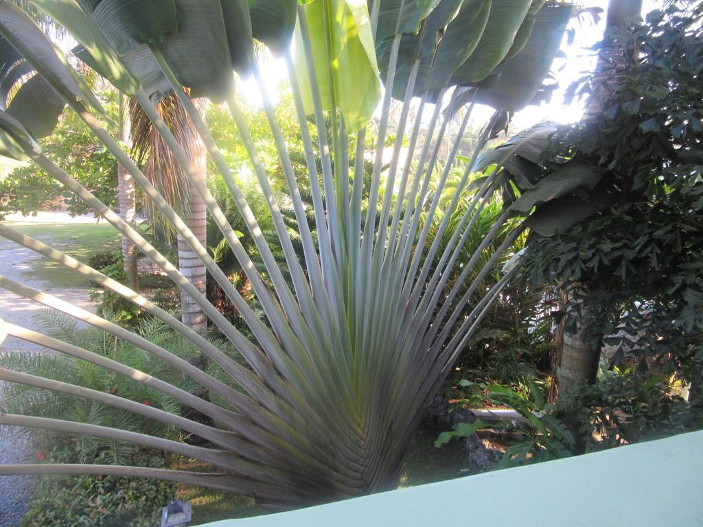Hotel Cambri Nagua Eksteriør billede