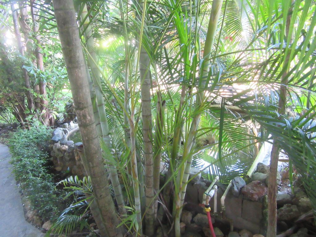 Hotel Cambri Nagua Eksteriør billede